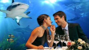 Gardaland: solo per 2una cena al Sea Life