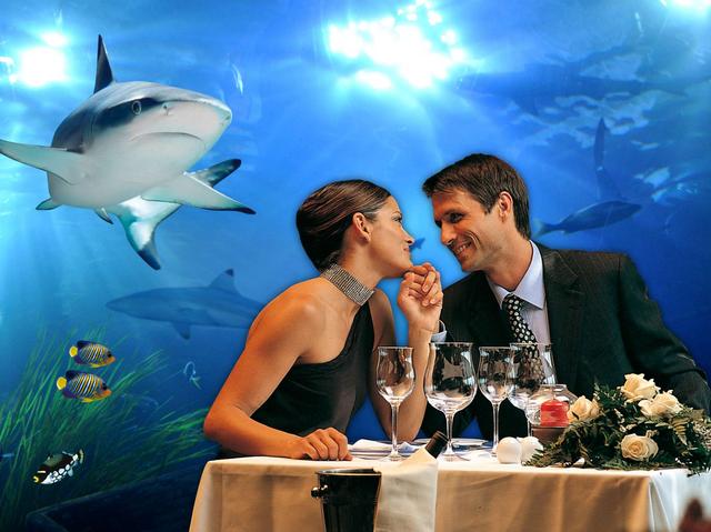 Gardaland: solo per 2una cena al Sea Life