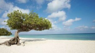 Le più belle spiagged’Italia e del mondo