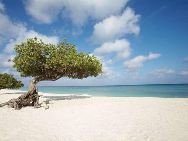 Le più belle spiagged’Italia e del mondo