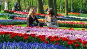 Olanda: Keukenhof esplosione di fiori