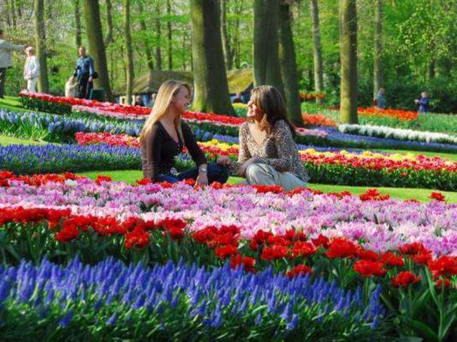 Olanda: Keukenhof esplosione di fiori