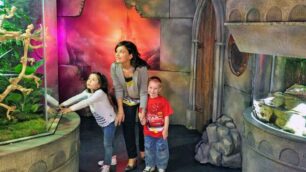 Mamme gratisa Gardaland Sea Life