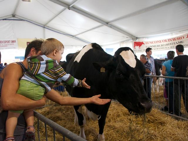 Appuntamenti di venerdì 31Apre la Fiera di Sant’Alessandro