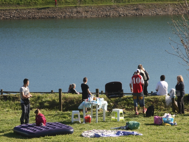 Rubano i pesci dal parco IncreaUn racket delle carpe a Brugherio