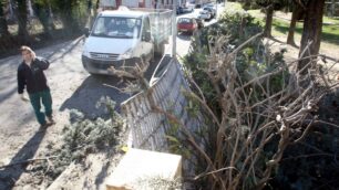 Il forte vento sradica una piantaL’albero cade vicino a una scuola