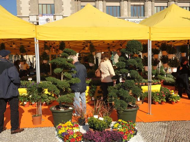 Fiori, colori e saporisul Sentierone