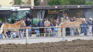 Appuntamenti di domenica 29 aprile