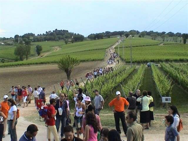 Umbria, cantine apertelungo le Strade del Vino