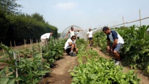 La crisi si batte con i corsi:Scuola Agraria, boom di richieste