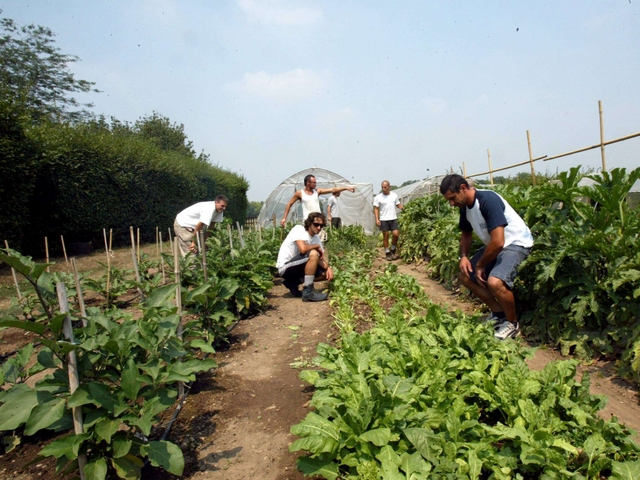 La crisi si batte con i corsi:Scuola Agraria, boom di richieste