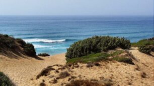 Sardegna, riparteil Trenino Verde