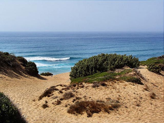 Sardegna, riparteil Trenino Verde