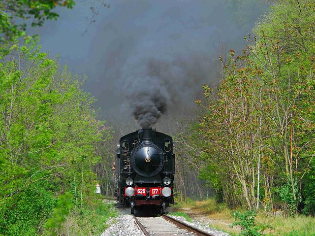 Scoprire il territoriocon il Treno Blu