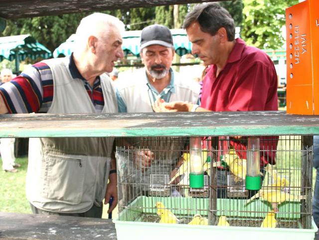 Uccelli, la sagra dei recordtorna ad Almenno S. Salvatore