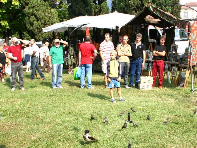 Almenno San Salvatore, c’è la sagra:uccelli, gara di canto e cani in mostra