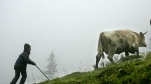 Tour nei sapori d’Alpe30 agosto in 9 alpeggi