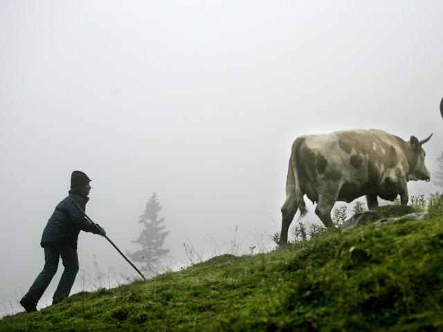 Tour nei sapori d’Alpe30 agosto in 9 alpeggi