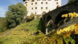 Merano, sinfonia di coloria Castel Trauttmansdorff