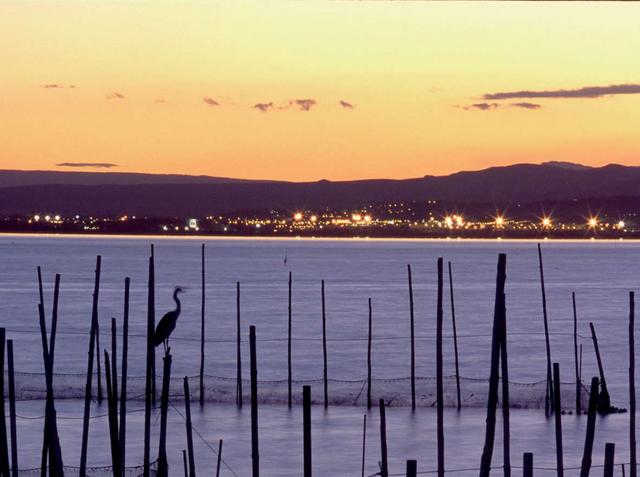 Valencia «open»Bioparc e spiagge