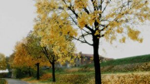 Foto-concorso “Foglie d’autunno”Gli ultimi giorni per partecipare