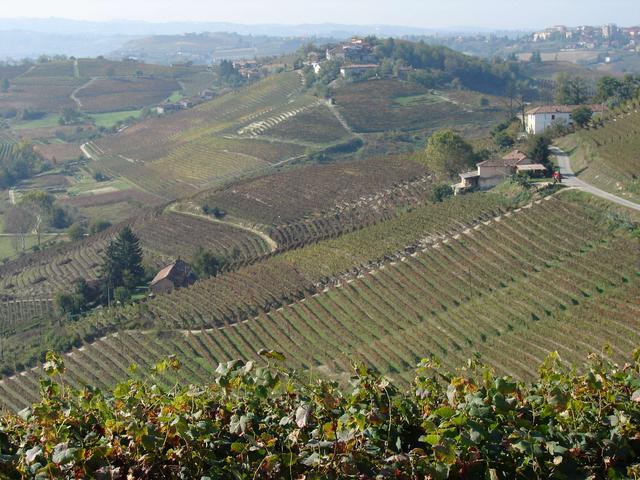 Astesana, tourfra tartufi e vino