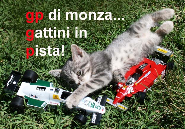 Monza, il Gp e i "Gattini in Pista"La campagna d’adozione dell’Enpa