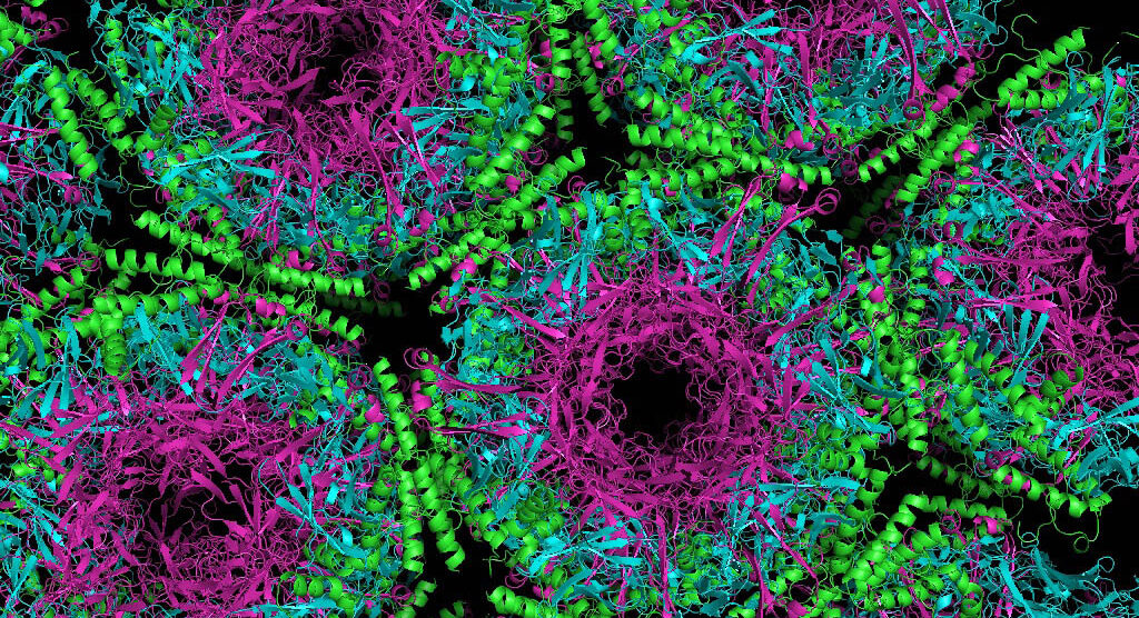 Proteina prionicaEcco le alterazioni