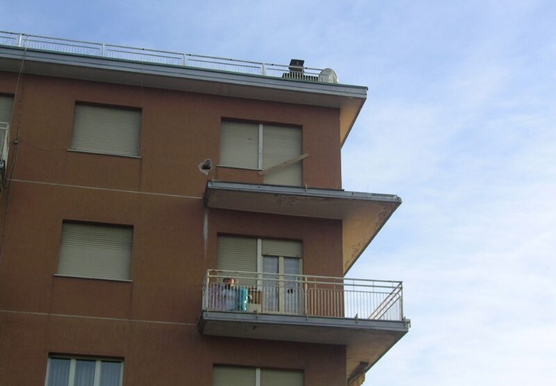 Il ragazzo è caduto da un balcone