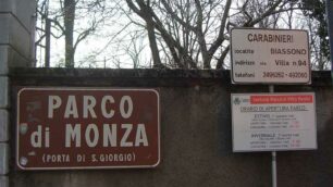 Il parco di Monza