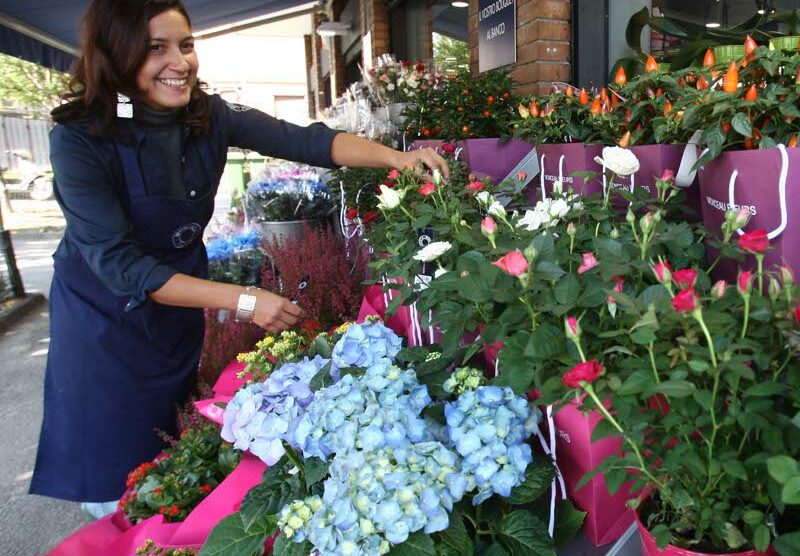 Fiori sui blaconi di Lentate per farla più bella