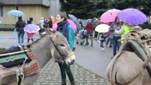 A Mezzago i bambini vanno a scuola insieme a due asinelli