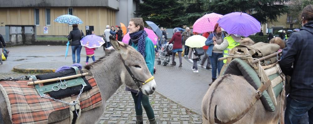 A Mezzago i bambini vanno a scuola insieme a due asinelli