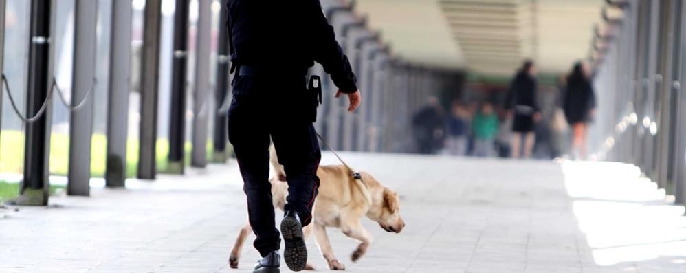 Vimercate, carabinieri con i cani antidroga a scuola: allerta degli studenti su facebook