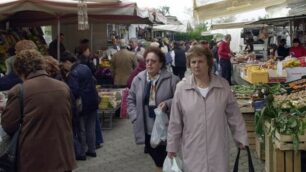 Meda, anche qui venditori abusivi: carciofi sequestrati e dati a Fratel Ettore