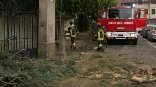 Pompieri in azione a Seveso per liberare la strada dal ramo caduto.