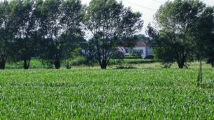 Uno scorcio del vasto parco del Grugnotorto