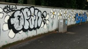 Monza graffiti su margherite pulizia di primavera