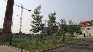 Monza Cantiere ex cotonificio Cederna