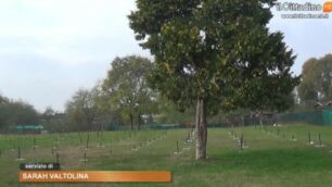 Monza: il nuovo Bosco urbano in via Vecellio – VIDEO