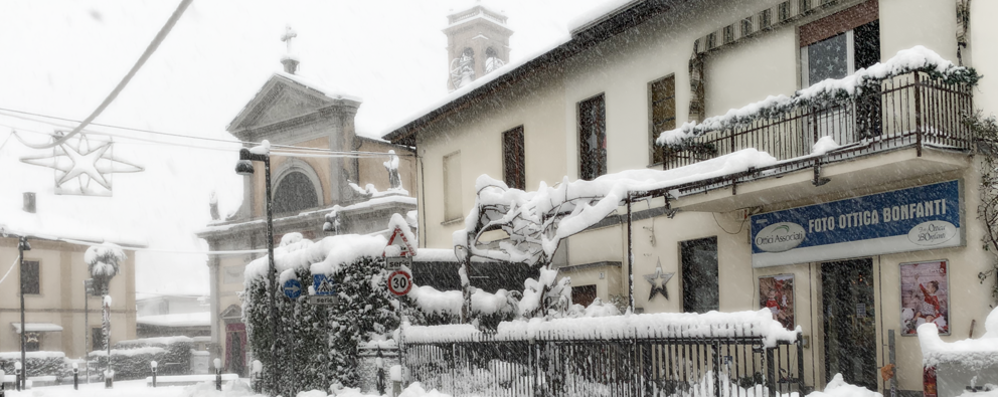 Besana: concorso foto Sotto la neve di Foto ottica Bonfanti