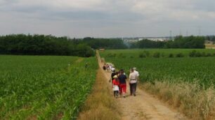 Una camminata in Brianza