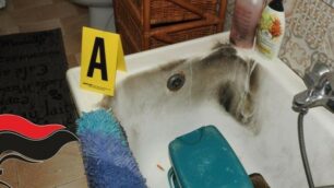 Il bagno della casa dove è avvenuta l’aggressione con le evidenti tracce delle fiamme