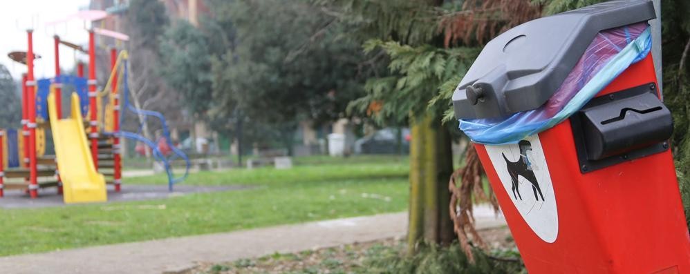 Metà delle multe riguardano la mancata raccolta delle deiezioni canine