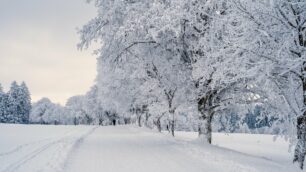 Inverno delle criptovalute