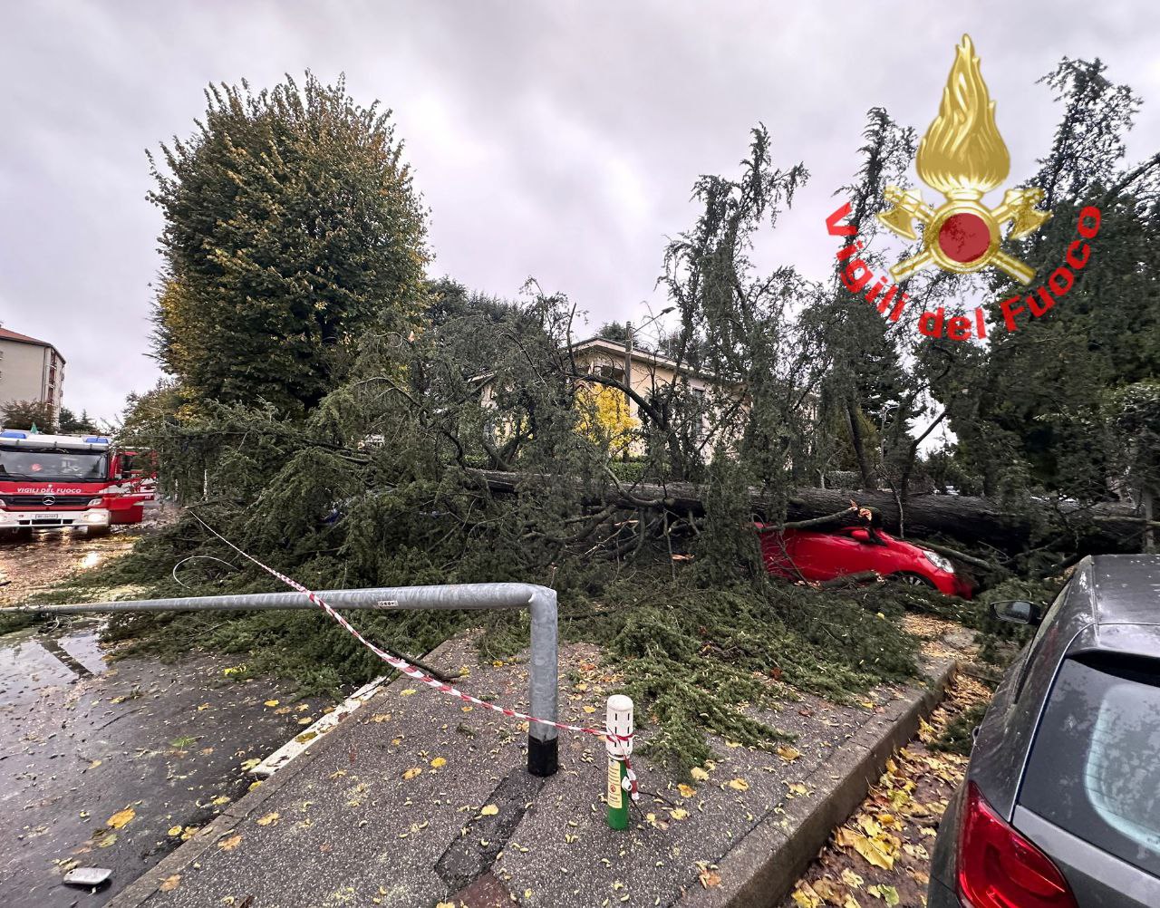 Carate Brianza Per Il Forte Vento Un Albero Cade E Finisce Su Tre Auto Miracolosamente Nessun 8029