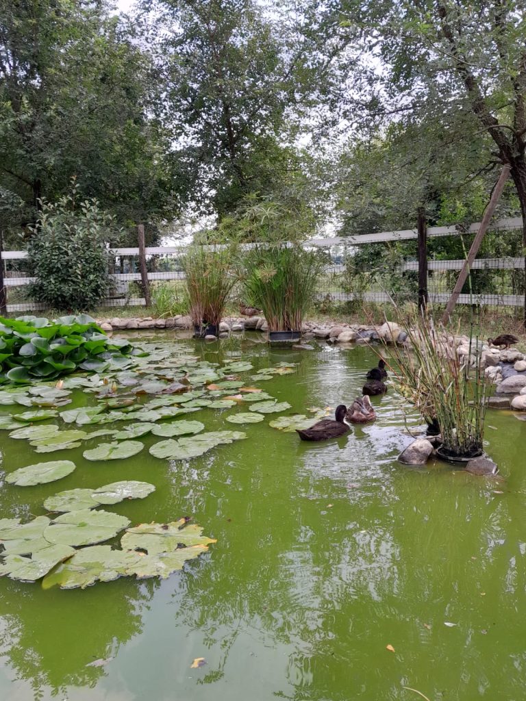 Monza Enpa germani oasi di biodiversita