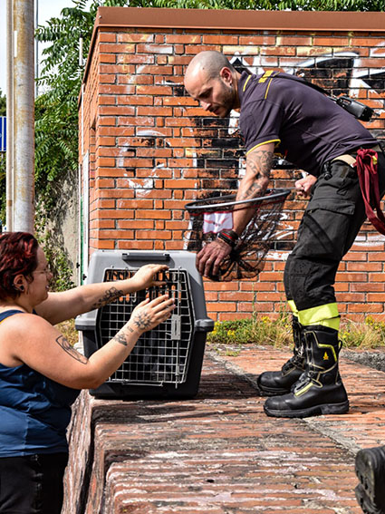 Monza Enpa germani Villoresi