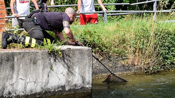 Monza Enpa germani Villoresi