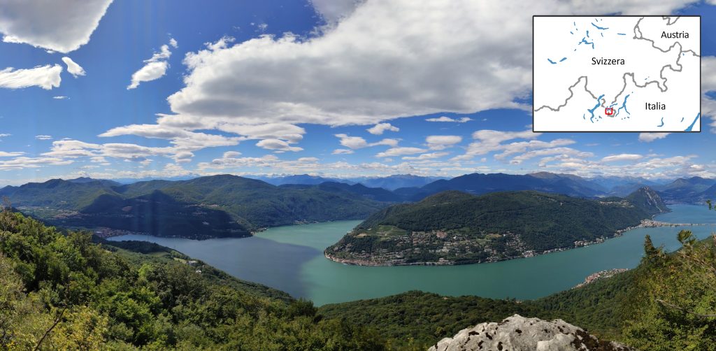 Il Lago di Lugano visto dal Monte San Giorgio, a cavallo tra Lombardia (Italia, a sinistra) e Canton Ticino (Svizzera,
a destra). Gli ittiosauri sono solo alcuni tra i fossili caratteristici di questo Sito UNESCO, che protegge una paleo-biodiversità unica
al mondo, risalente al Triassico medio (240 milioni di anni fa). In territorio italiano il sito è tutelato dalla Soprintendenza (SABAP di
Como, Lecco, Monza-Brianza, Pavia, Sondrio e Varese). Foto di Gabriele Bindellini.